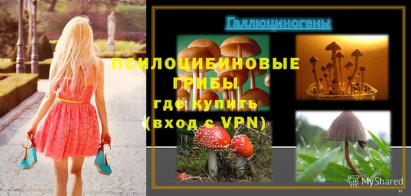 дурь Армянск