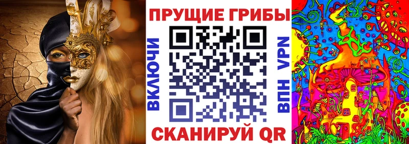 Псилоцибиновые грибы Cubensis  Купить  Спас-Клепики 